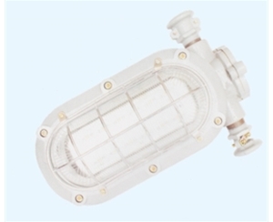 甘肃矿用隔爆型LED支架灯